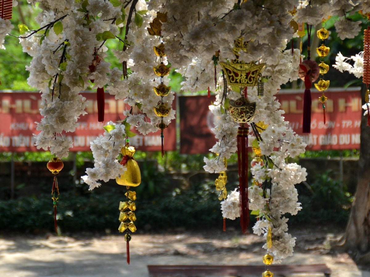 Bilan du premier mois&nbsp;!