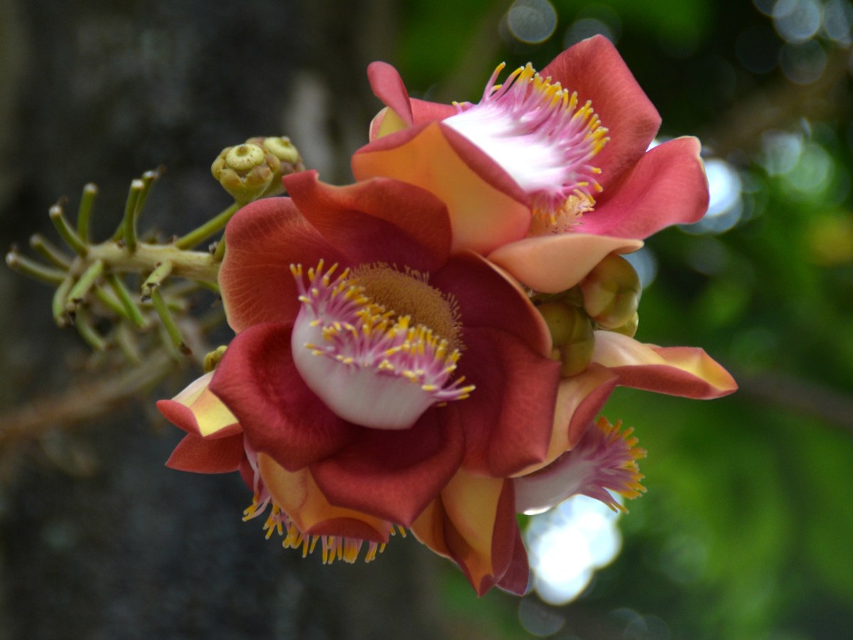 Haiphong : balades et cours&nbsp;d&rsquo;anglais