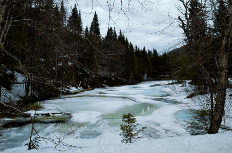 C1FCE992-ACC4-4A51-A2A5-510C3285C0FC