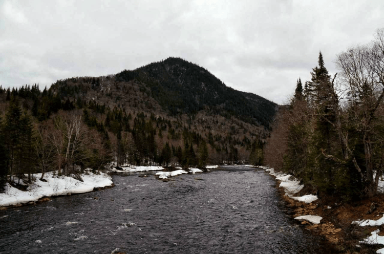 E08E5C6A-70DC-4BD1-B184-419515D77578