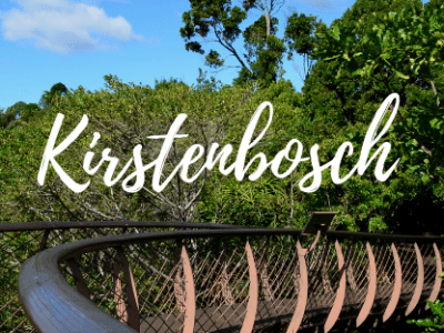 Kirstenbosch Botanical Garden