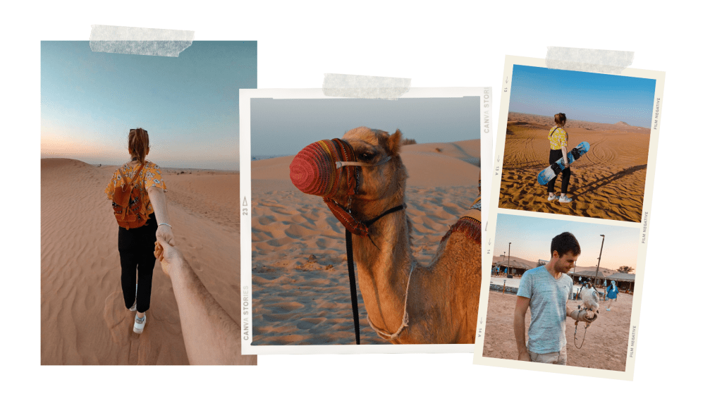 excursion dans le désert de dubai avec get your guide
