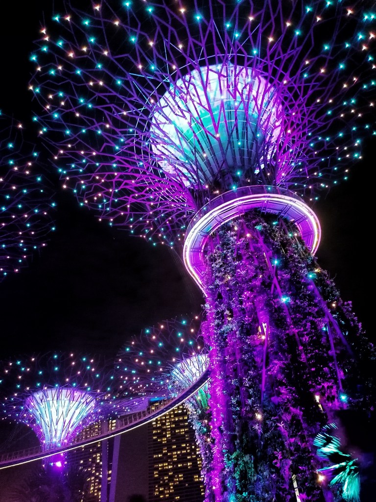 Garden by the bay - Singapour