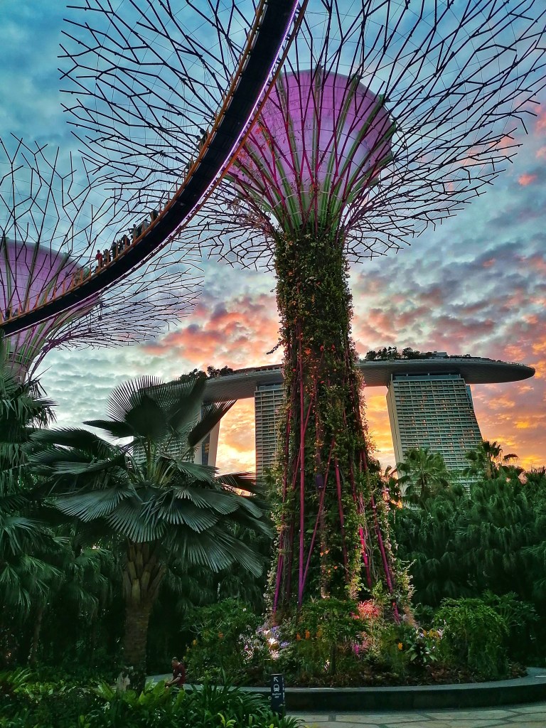 Garden by the bay - Singapour