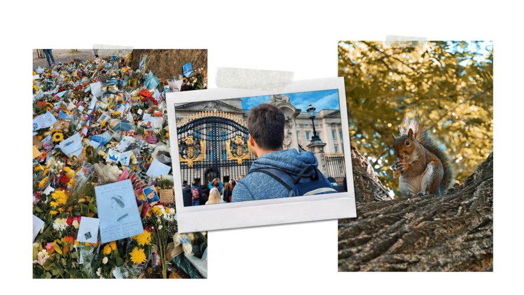 Visiter Londres : City Break au départ de Lyon