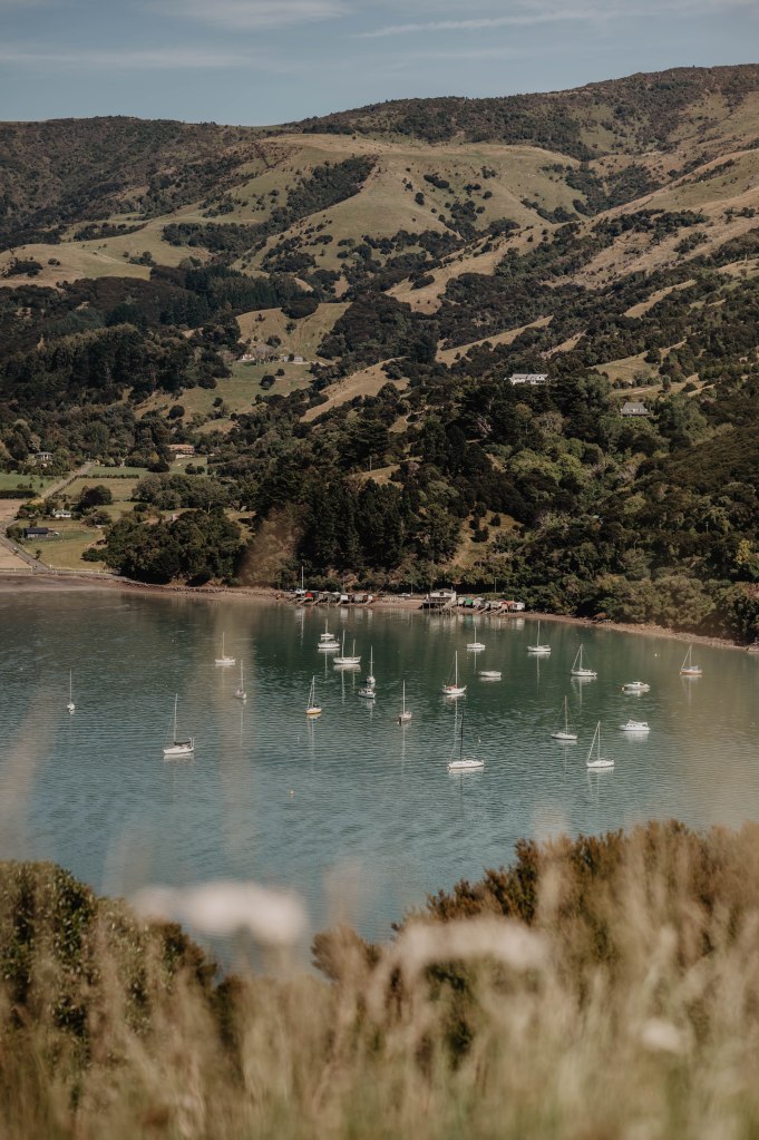 péninsule d’Onawe