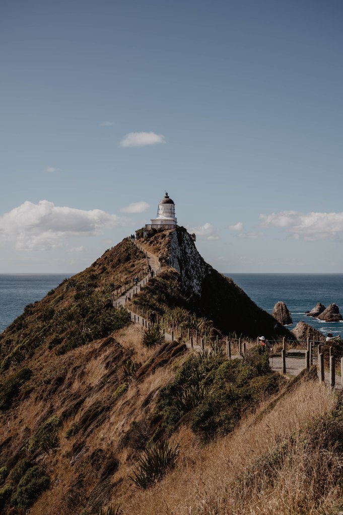 Nugget Point, Nouvelle Zélande