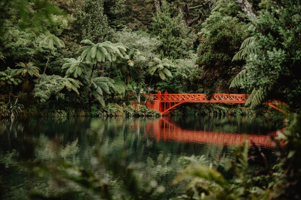 Pukekura Park, New Plymouth