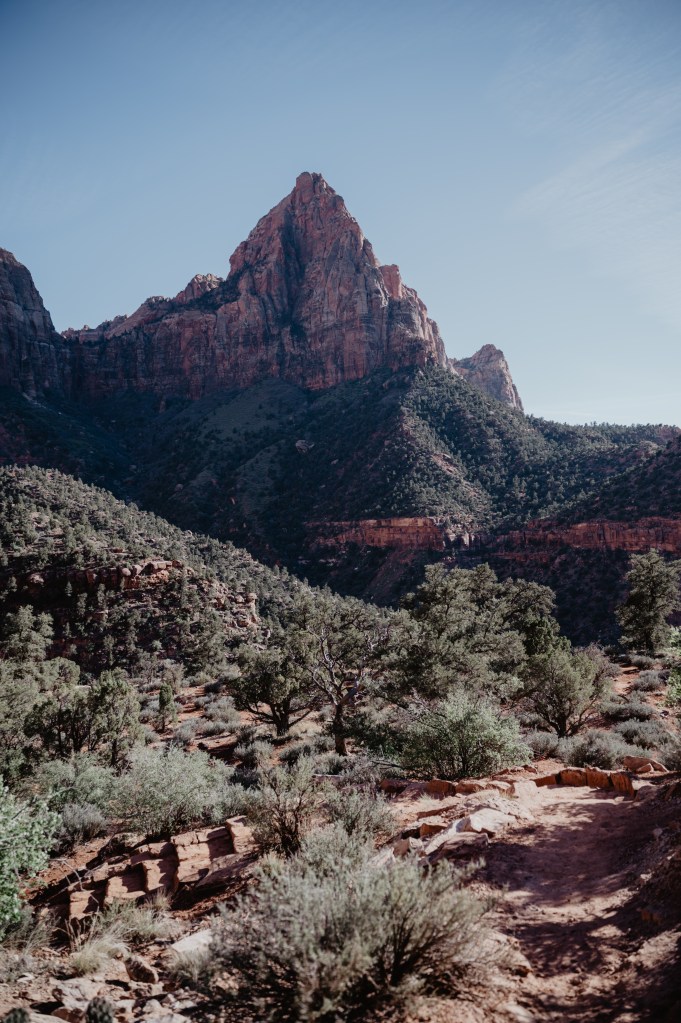 Zion, watchman